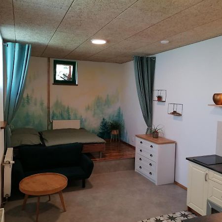 Appartement Jizersky Spirit à Jablonec nad Nisou Extérieur photo
