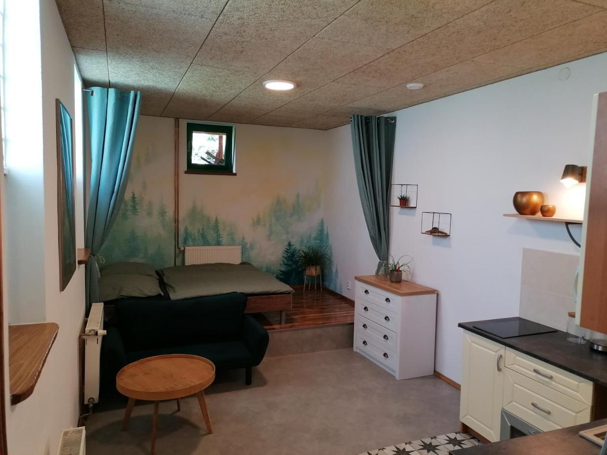 Appartement Jizersky Spirit à Jablonec nad Nisou Extérieur photo